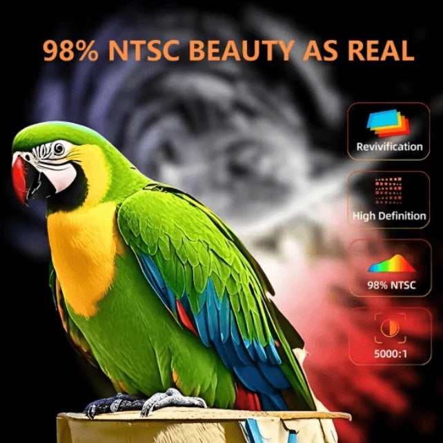 LED - Source Multimedia Projector